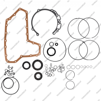 Комплект прокладок и сальников (с уплотнительными кольцами)