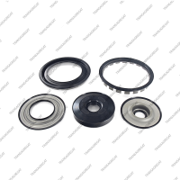 Комплект поршней (5шт., обрезиненные)