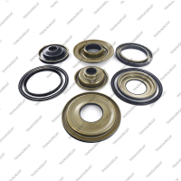 Комплект поршней (2002-up, 9шт., обрезиненные)*