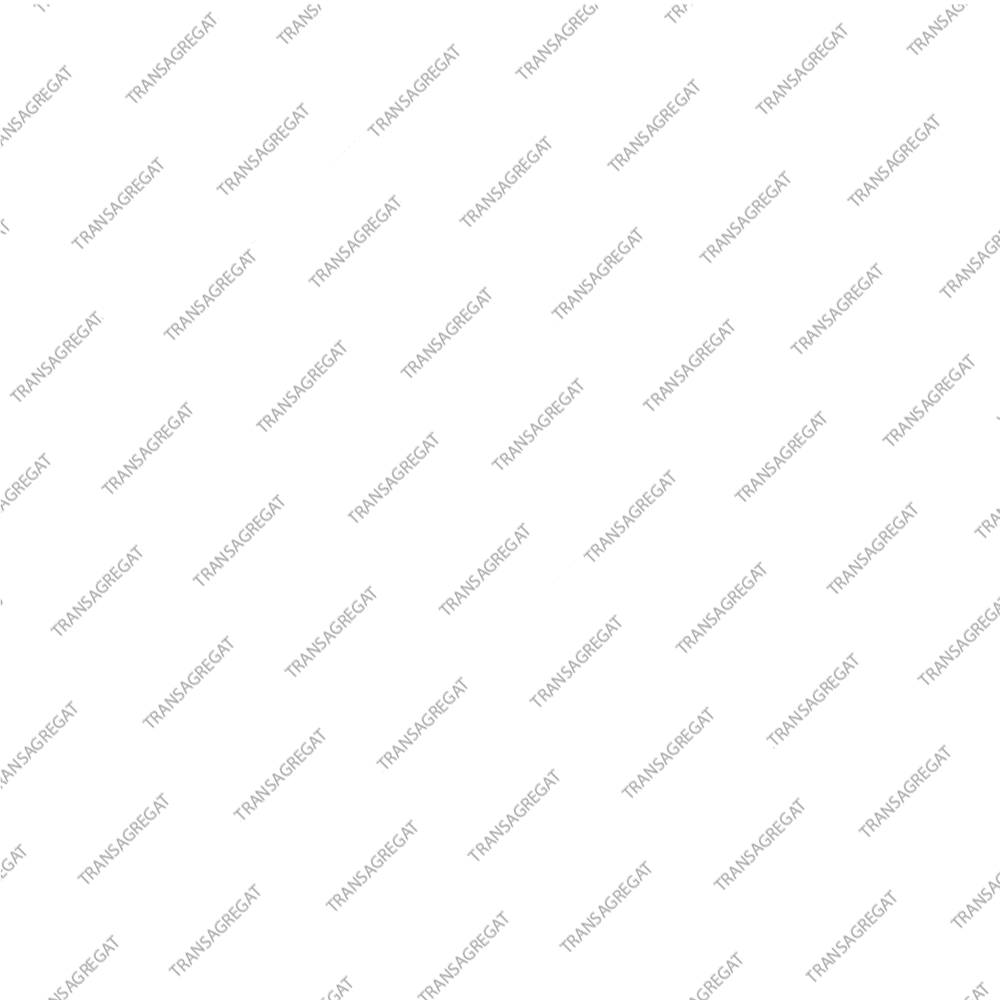 Насадка для болтов корпуса трансмиссии (Torx Bit)